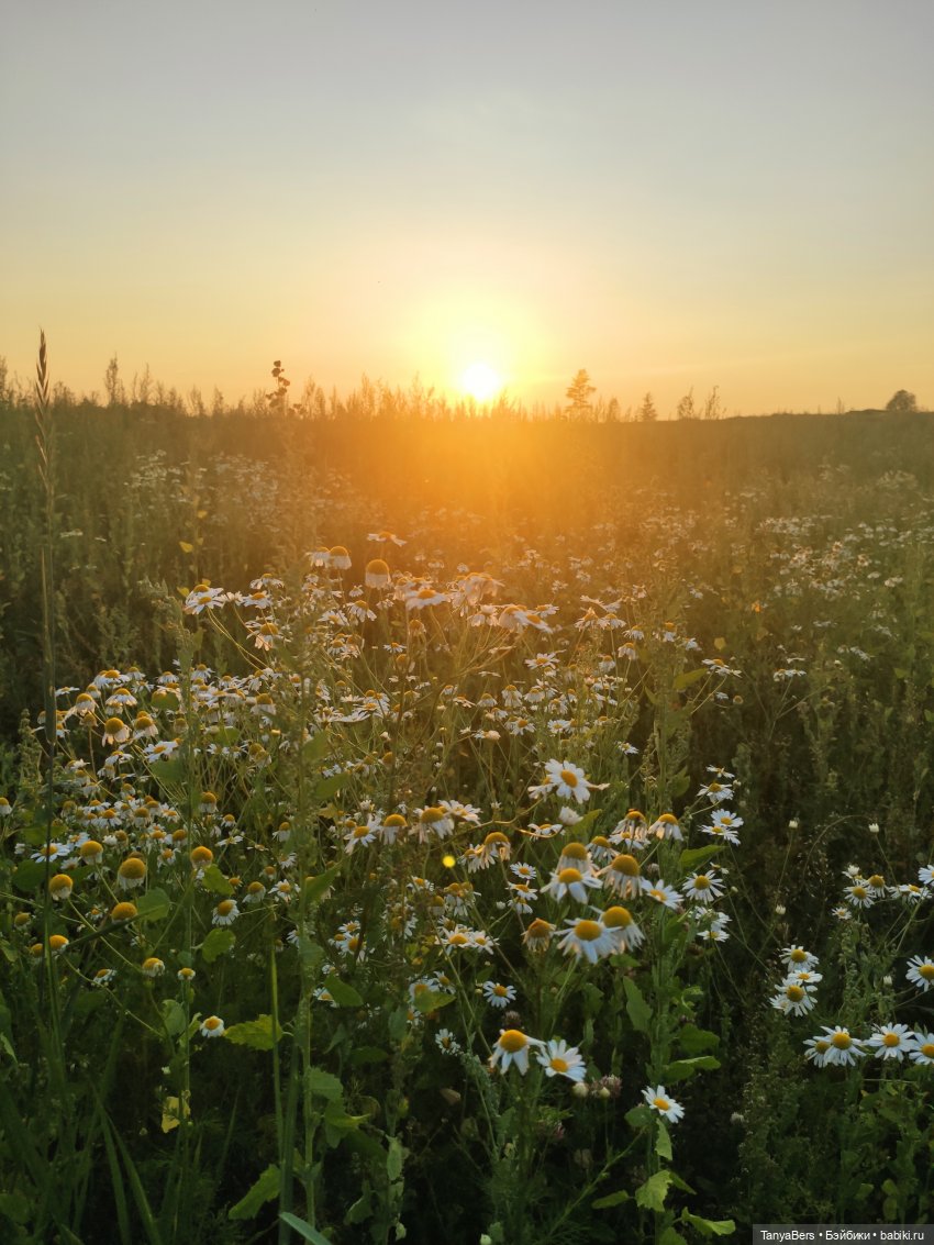 Там на неведомых дорожках✨ День Рождения Миры🎈 АНОНС детский Флешмоб🍭