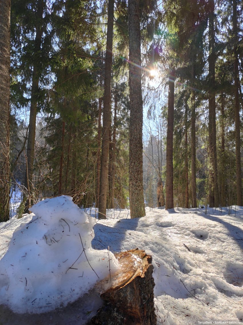 Там на неведомых дорожках✨ День Рождения Миры🎈 АНОНС детский Флешмоб🍭