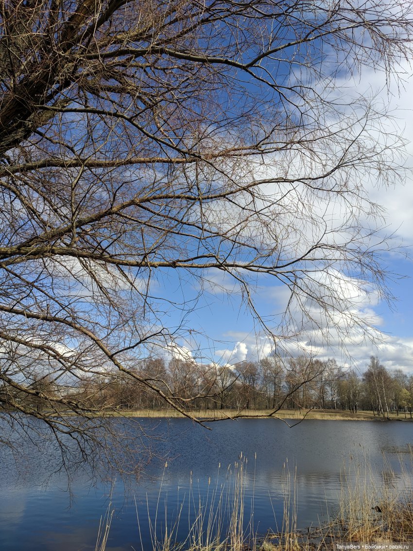 Там на неведомых дорожках✨ День Рождения Миры🎈 АНОНС детский Флешмоб🍭 (фото 7)
