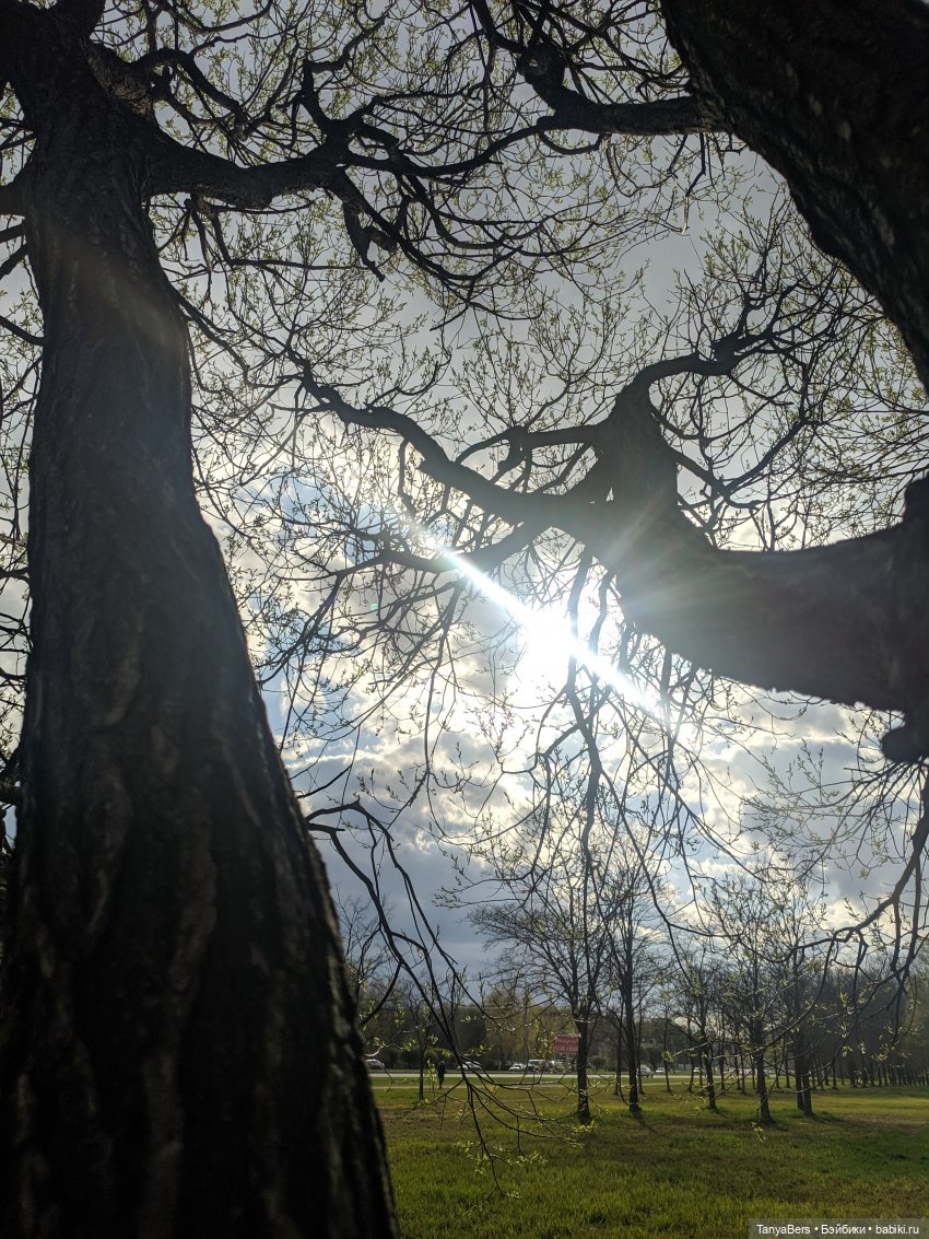 Там на неведомых дорожках✨ День Рождения Миры🎈 АНОНС детский Флешмоб🍭 (фото 6)