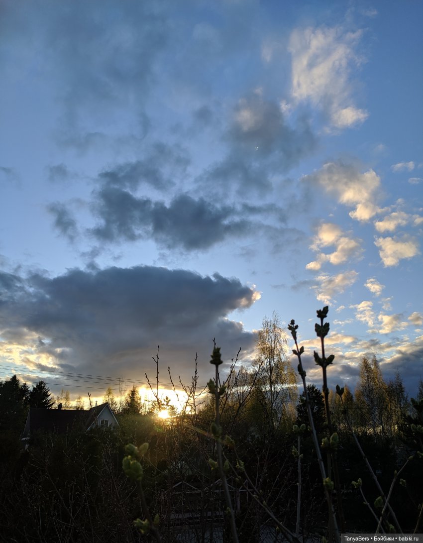 Весенний фотоспам с зимней Mui chan 🌷❄️