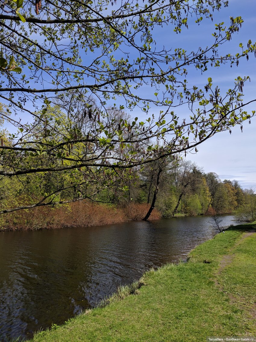 Весенний фотоспам с зимней Mui chan 🌷❄️ (фото 3)