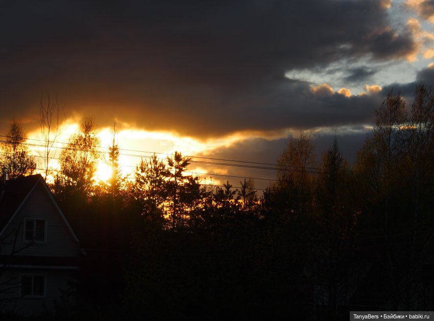 Весенний фотоспам с зимней Mui chan 🌷❄️