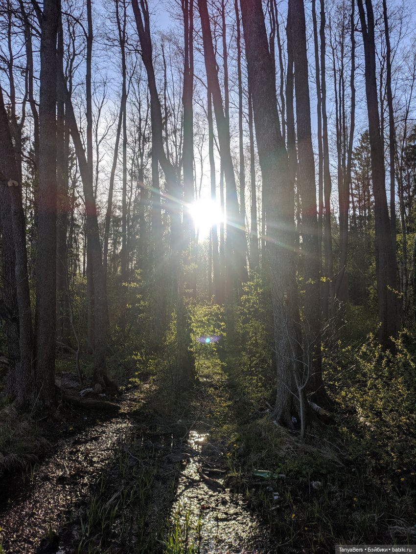 Весенний фотоспам с зимней Mui chan 🌷❄️