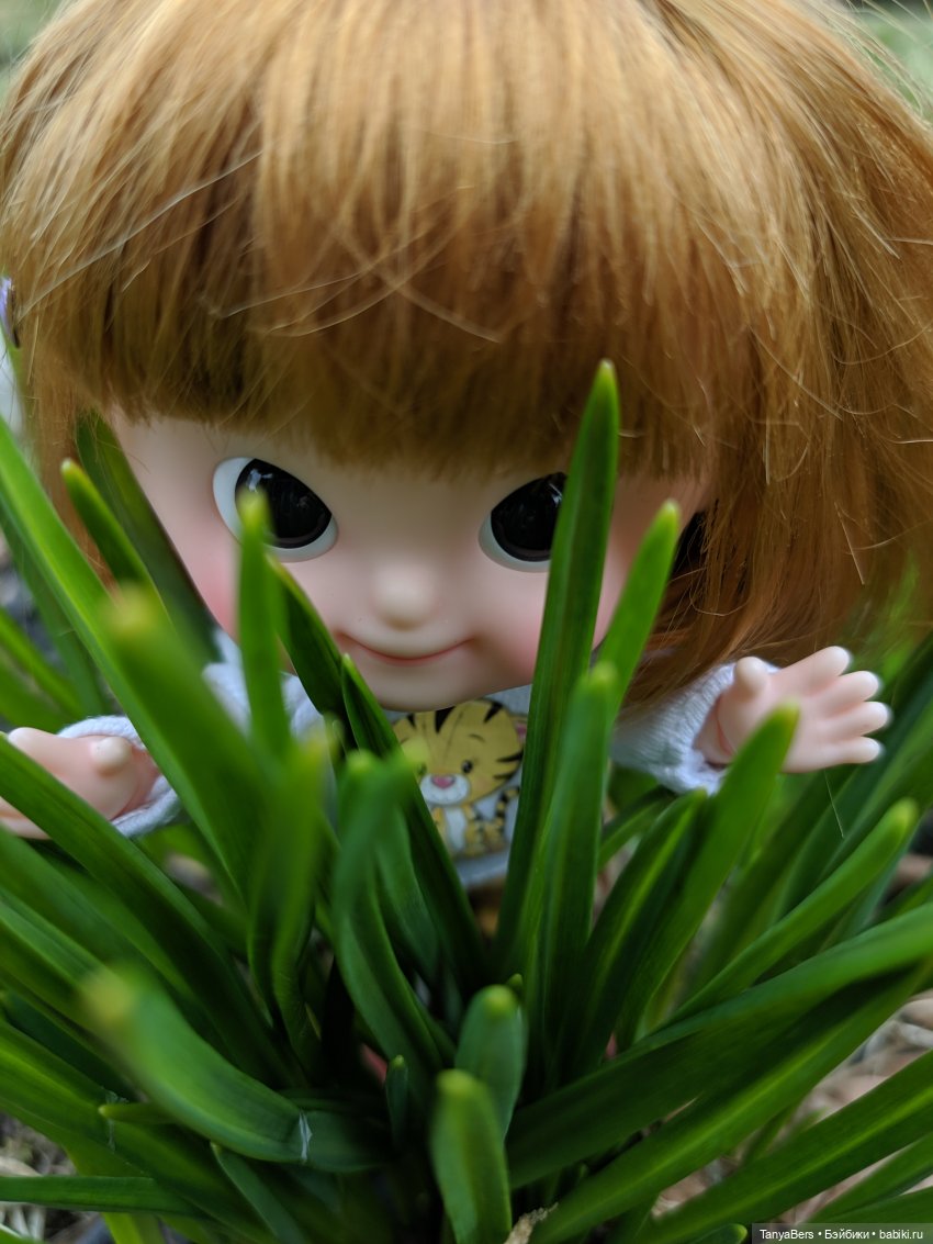 Весенний фотоспам с зимней Mui chan 🌷❄️