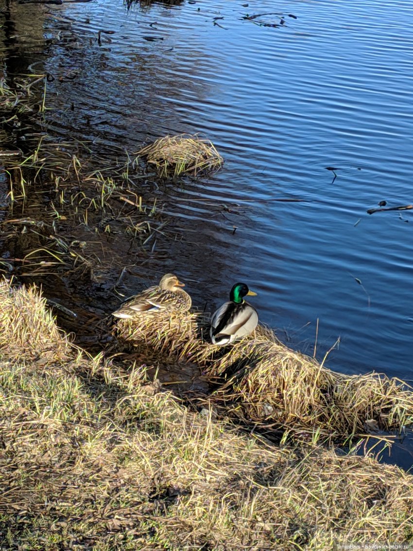 Весенний фотоспам с зимней Mui chan 🌷❄️