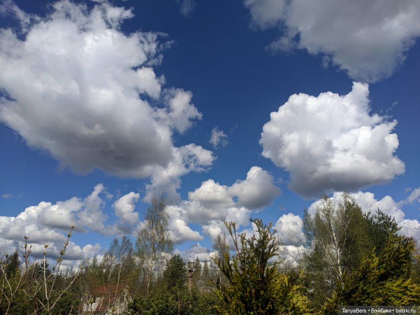 Весенний фотоспам с зимней Mui chan 🌷❄️