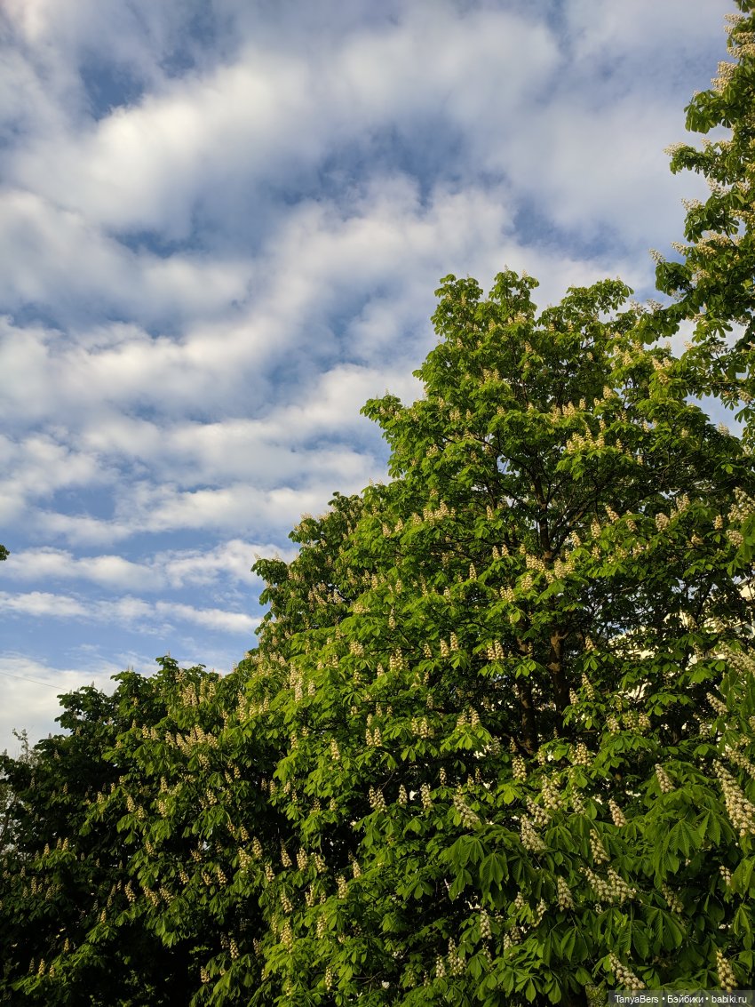 Время лето...☀️💕 — Куклы Fairyland (ФэйриЛэнд): BJD (БЖД)