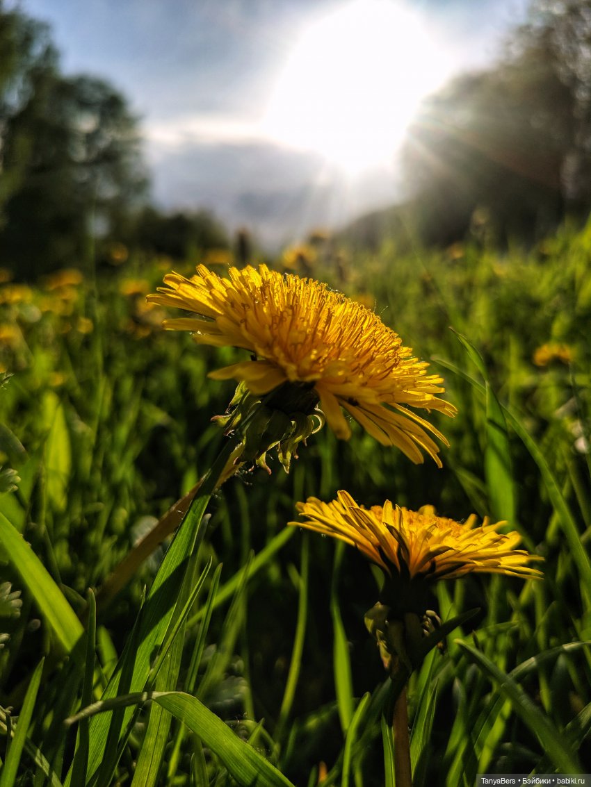 Время лето...☀️💕 — Куклы Fairyland (ФэйриЛэнд): BJD (БЖД)