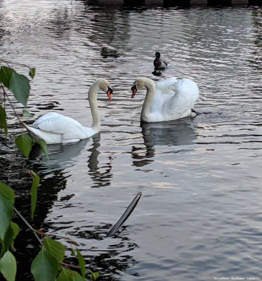 Время лето...☀️💕 — Куклы Fairyland (ФэйриЛэнд): BJD (БЖД)