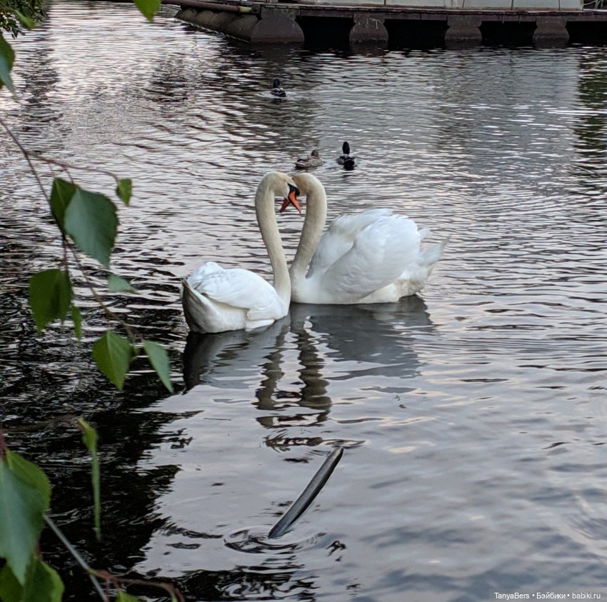 Время лето...☀️💕 — Куклы Fairyland (ФэйриЛэнд): BJD (БЖД)