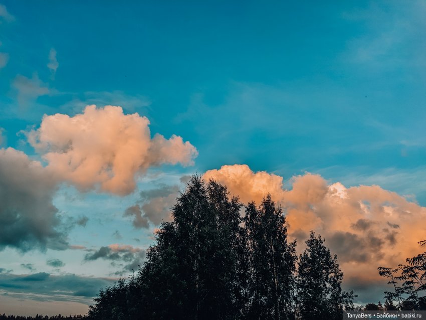 Отголоски лета🍓🌊☀️ — Куклы Rosemarie Anna Muller (Мюллер): Вихтели (Wichtel)