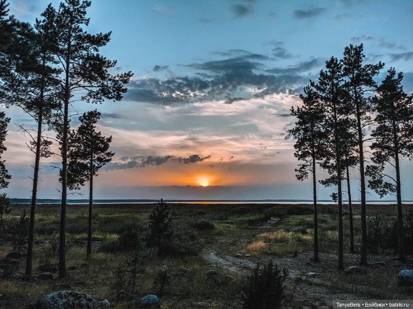 Отголоски лета🍓🌊☀️ — Куклы Rosemarie Anna Muller (Мюллер): Вихтели (Wichtel)