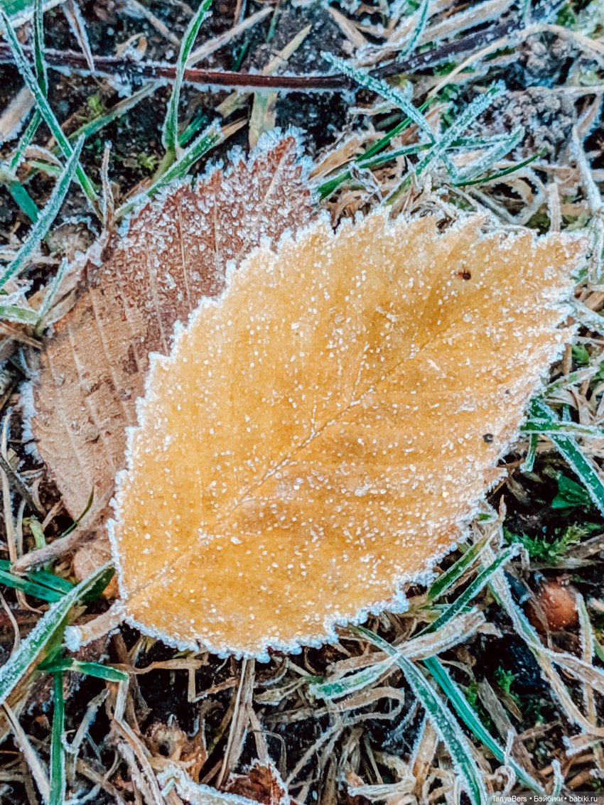 Отголоски лета🍓🌊☀️ — Куклы Rosemarie Anna Muller (Мюллер): Вихтели (Wichtel) (фото 6)