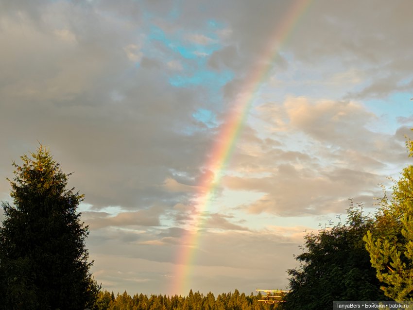 Отголоски лета🍓🌊☀️ — Куклы Rosemarie Anna Muller (Мюллер): Вихтели (Wichtel)