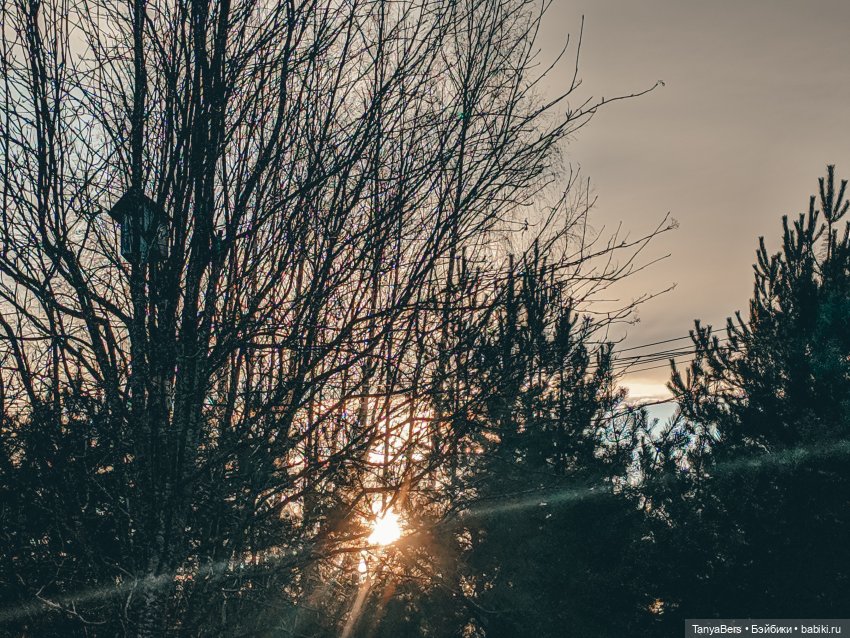 Из зимы в лето с котёнком Mui-Chan 🐾 | Бэйбики Из зимы в лето с котёнком Mui-Chan 🐾 (фото 4)