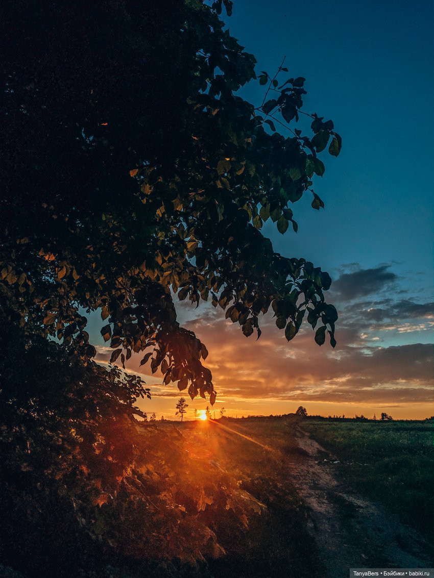 Из зимы в лето с котёнком Mui-Chan 🐾 | Бэйбики Из зимы в лето с котёнком Mui-Chan 🐾