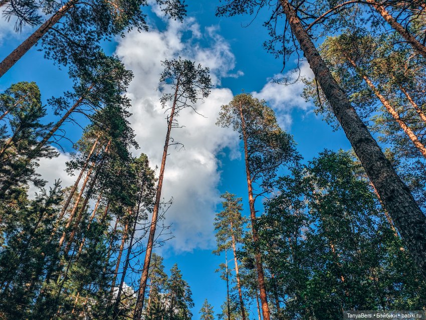 Из зимы в лето с котёнком Mui-Chan 🐾 | Бэйбики Из зимы в лето с котёнком Mui-Chan 🐾