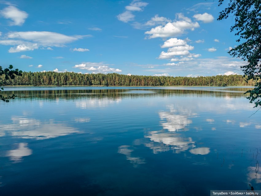 Из зимы в лето с котёнком Mui-Chan 🐾 | Бэйбики Из зимы в лето с котёнком Mui-Chan 🐾