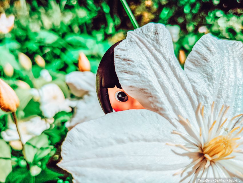 Мои "матрёшки" Mui-Chan 🐾🙃 | Бэйбики Мои "матрёшки" Mui-Chan 🐾🙃