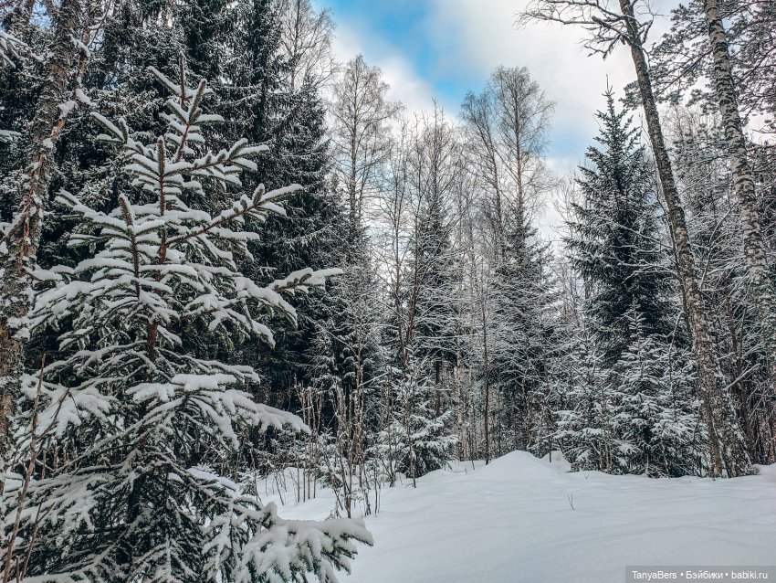 Из зимы в лето с котёнком Mui-Chan 🐾 | Бэйбики Из зимы в лето с котёнком Mui-Chan 🐾
