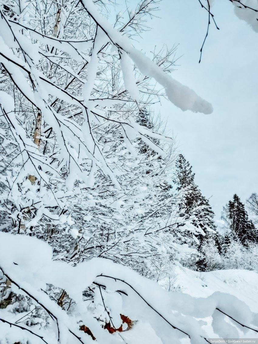 Из зимы в лето с котёнком Mui-Chan 🐾 | Бэйбики Из зимы в лето с котёнком Mui-Chan 🐾