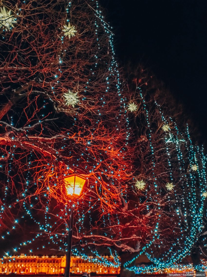 Из зимы в лето с котёнком Mui-Chan 🐾 | Бэйбики Из зимы в лето с котёнком Mui-Chan 🐾