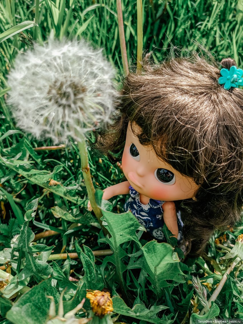 Из зимы в лето с котёнком Mui-Chan 🐾 | Бэйбики Из зимы в лето с котёнком Mui-Chan 🐾