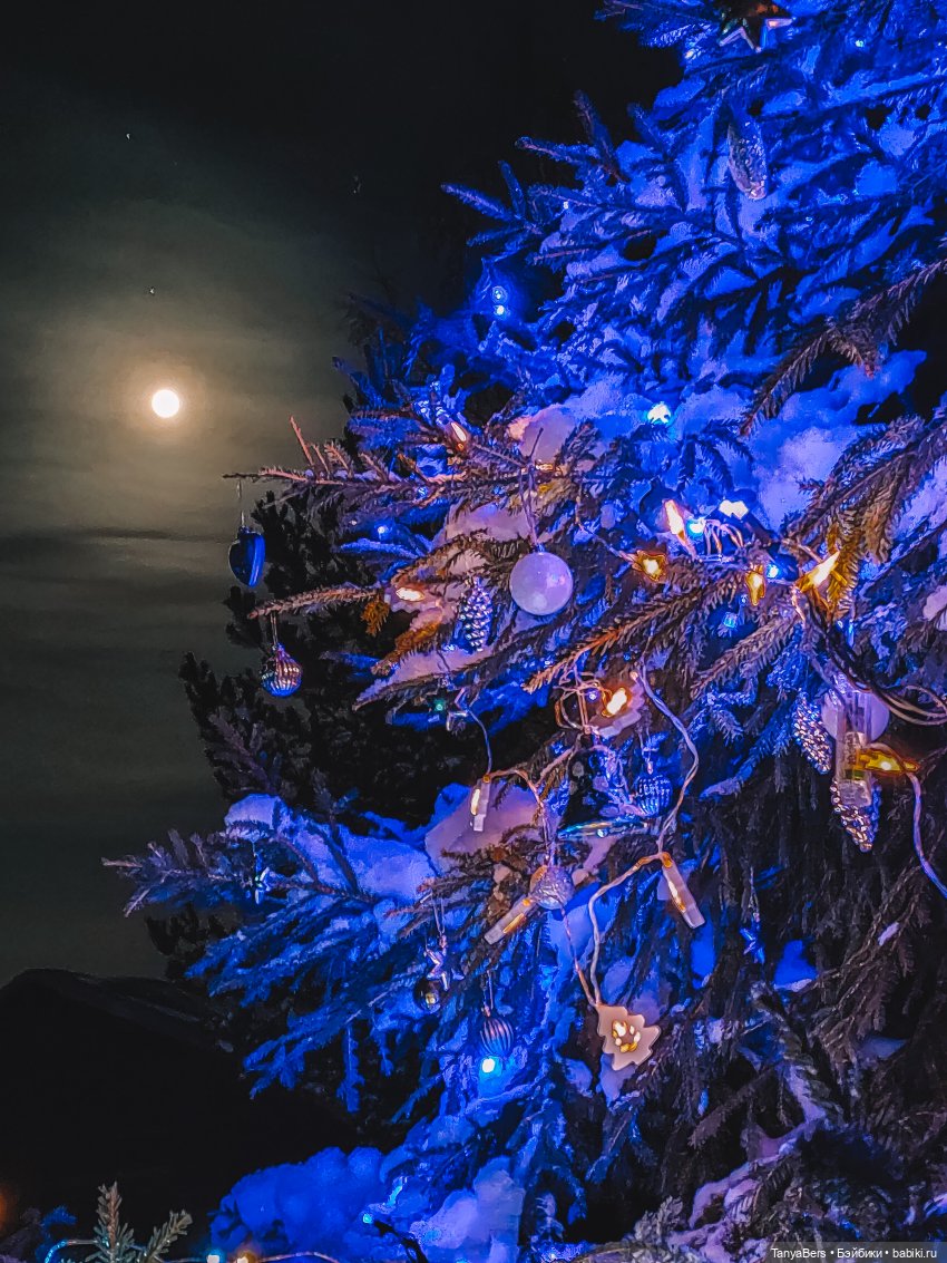 Из зимы в лето с котёнком Mui-Chan 🐾 | Бэйбики Из зимы в лето с котёнком Mui-Chan 🐾 (фото 6)