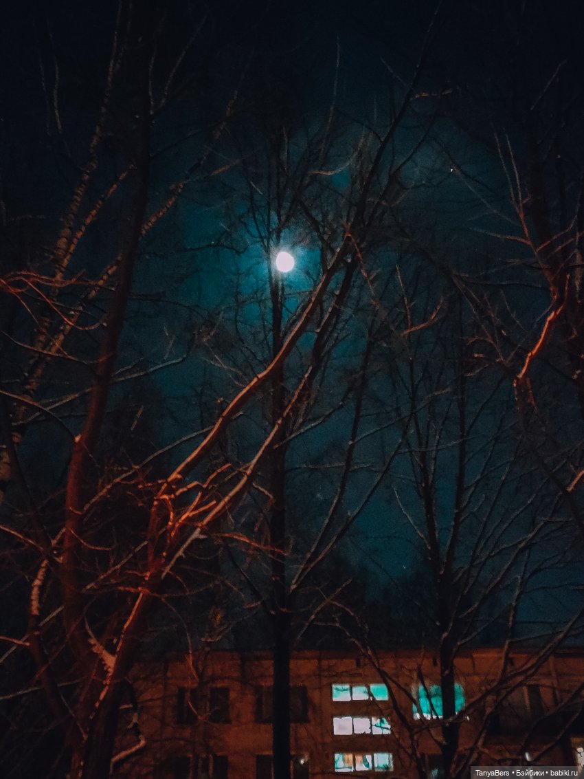 Из зимы в лето с котёнком Mui-Chan 🐾 | Бэйбики Из зимы в лето с котёнком Mui-Chan 🐾 (фото 5)