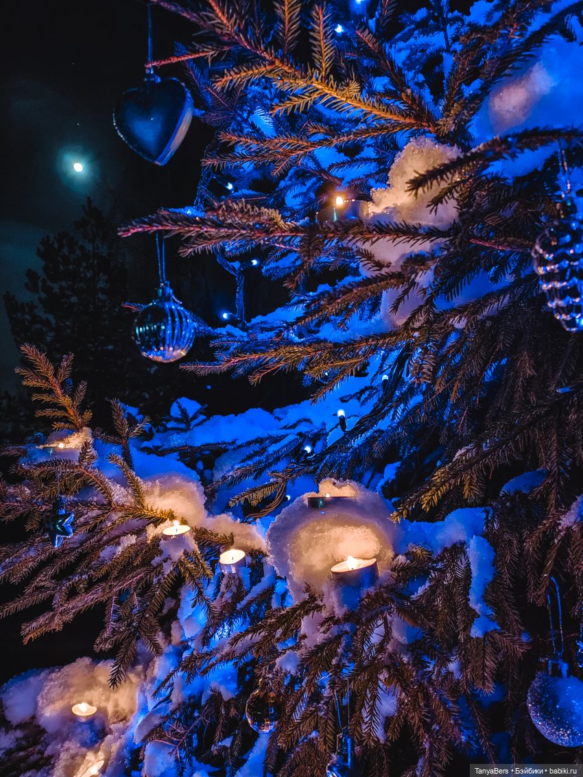 Из зимы в лето с котёнком Mui-Chan 🐾 | Бэйбики Из зимы в лето с котёнком Mui-Chan 🐾 (фото 7)