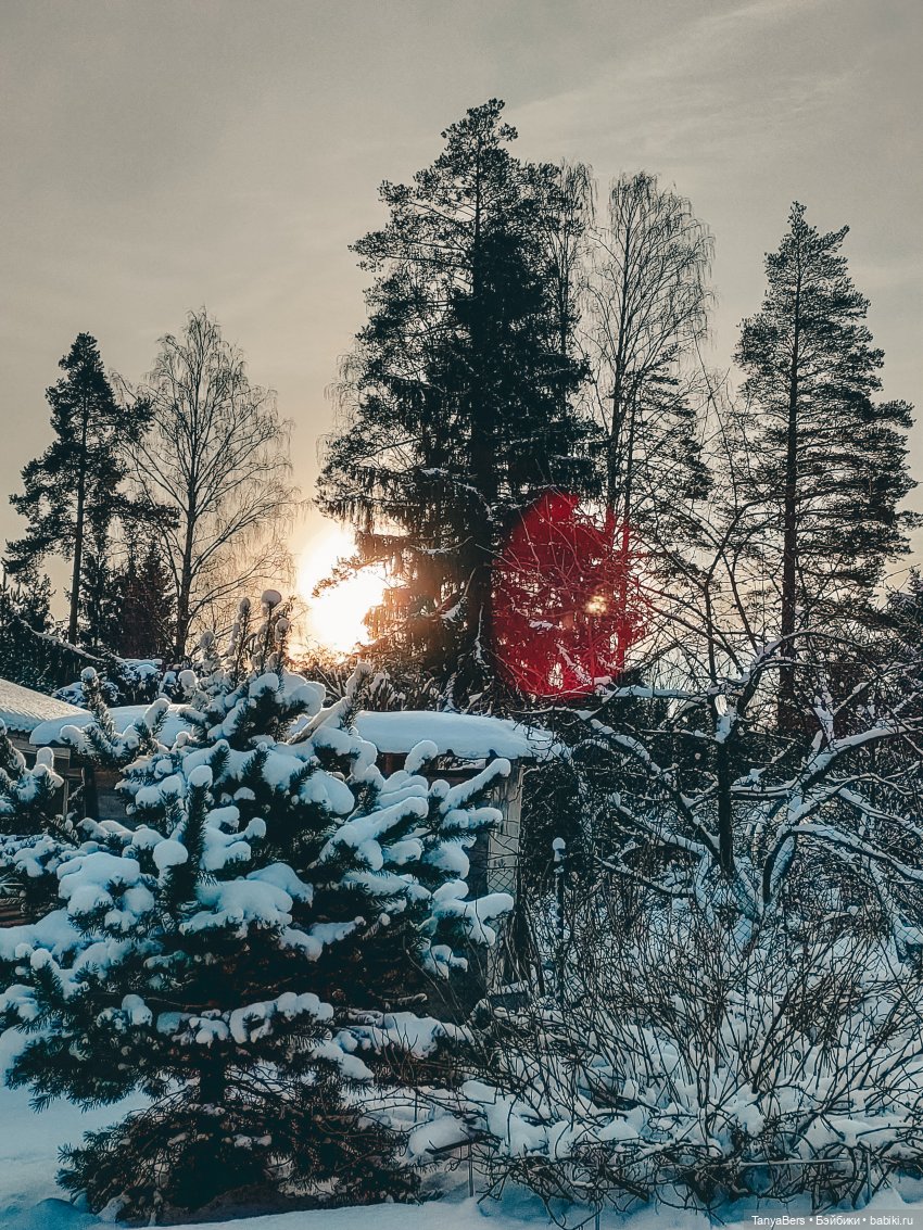 Из зимы в лето с котёнком Mui-Chan 🐾 | Бэйбики Из зимы в лето с котёнком Mui-Chan 🐾