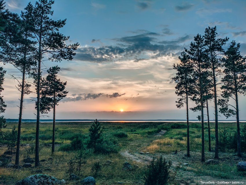 Мои "матрёшки" Mui-Chan 🐾🙃