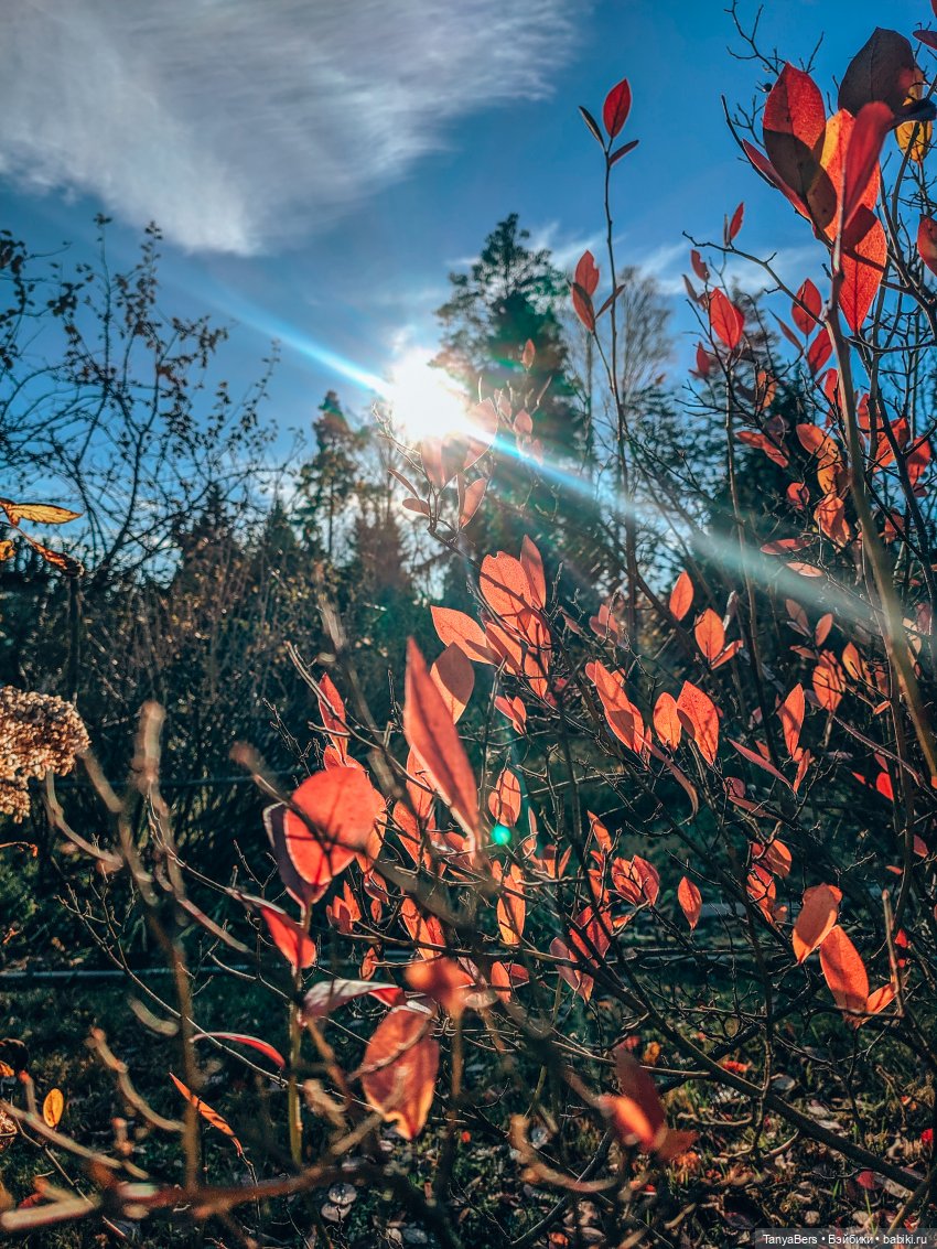 Мои "матрёшки" Mui-Chan 🐾🙃 | Бэйбики Мои "матрёшки" Mui-Chan 🐾🙃