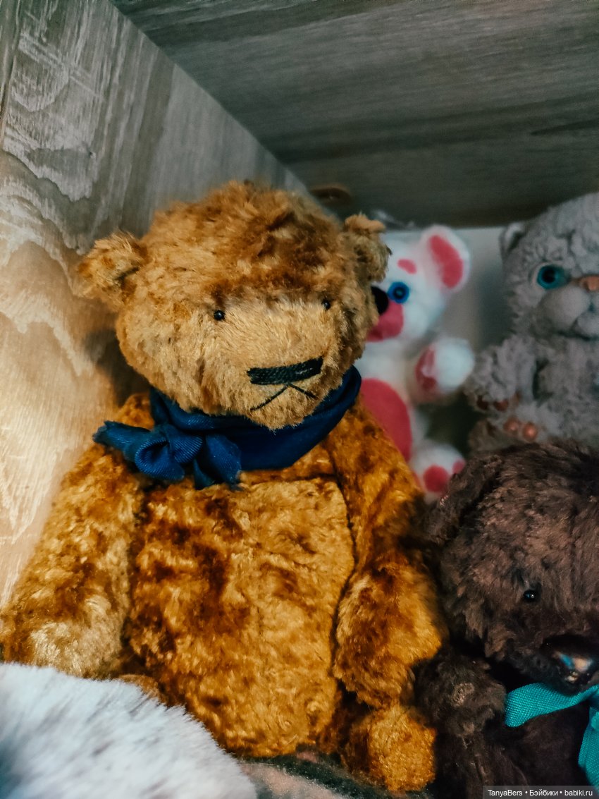 Мои "куклополочки"❤️ — Домашние коллекции кукол: фото собраний