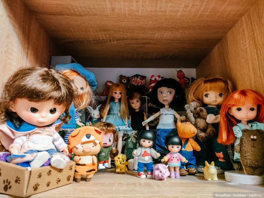 Мои "куклополочки"❤️ — Домашние коллекции кукол: фото собраний