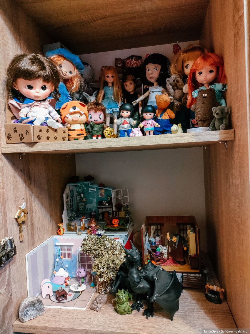 Мои "куклополочки"❤️ — Домашние коллекции кукол: фото собраний