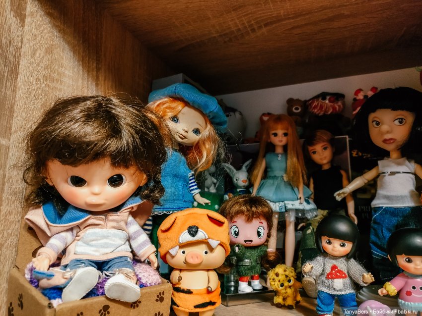 Мои "куклополочки"❤️ — Домашние коллекции кукол: фото собраний