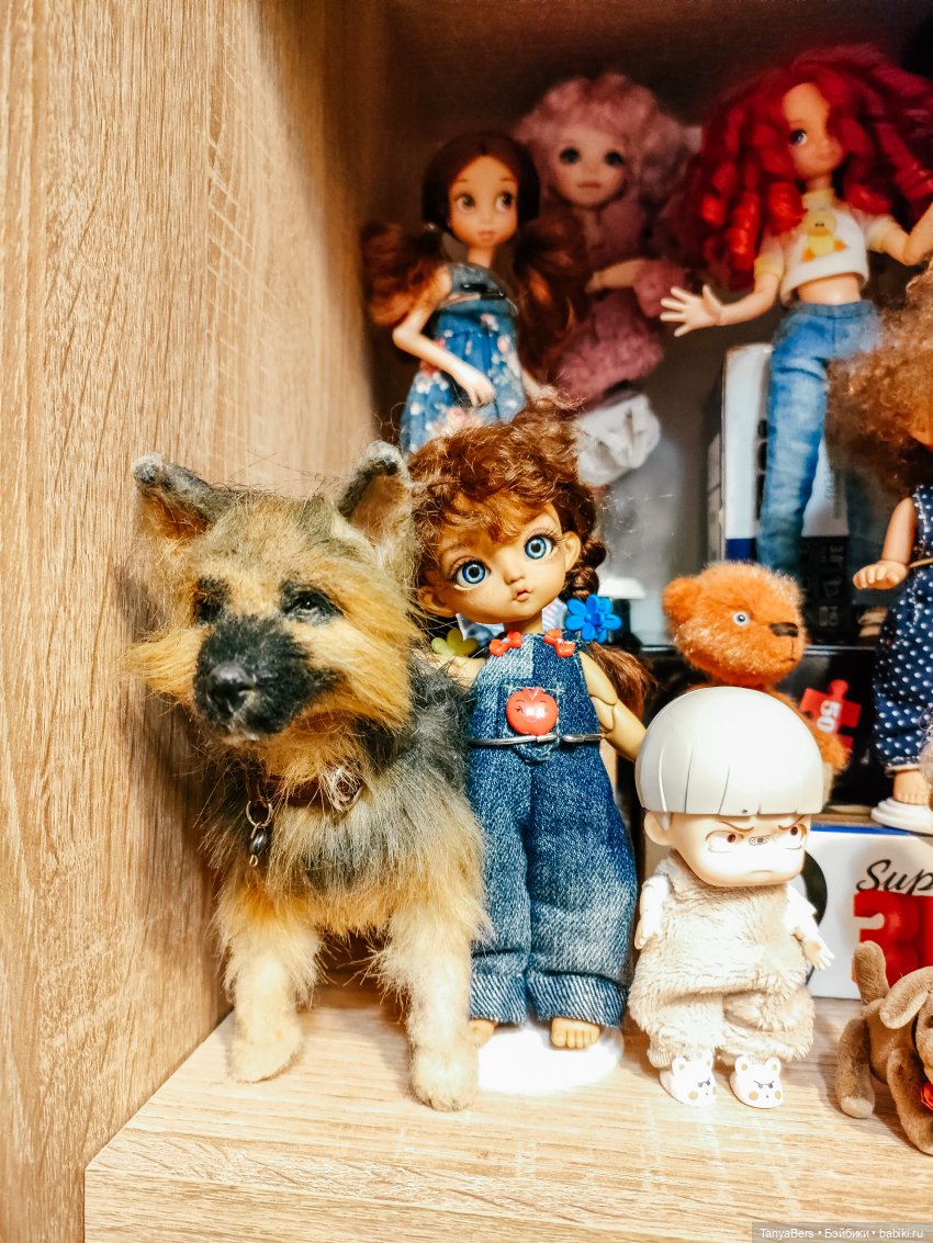 Мои "куклополочки"❤️ — Домашние коллекции кукол: фото собраний