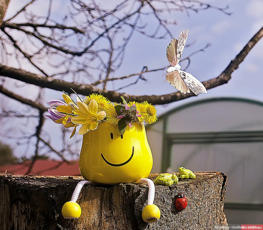 Хобби в микромасштабе😁🙈 — Румбоксы и кукольные интерьеры: фото