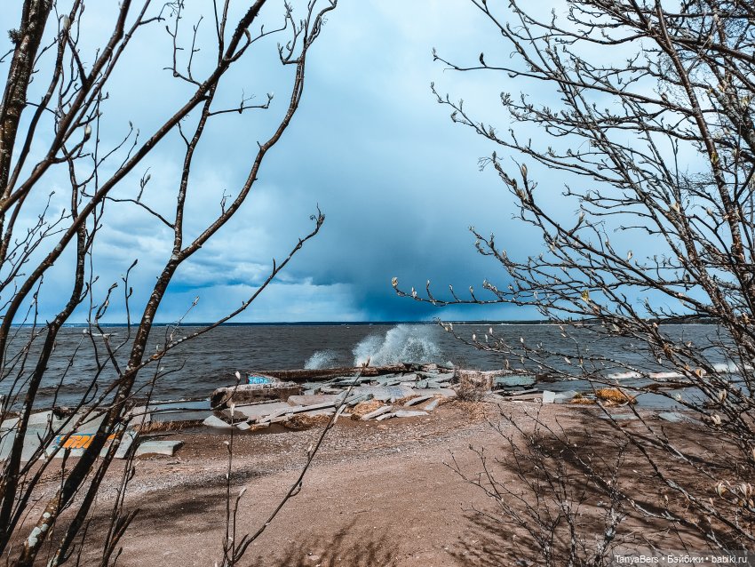 В поисках Муми-дома🏡🌳💫 — Куклы Miroxdolls (Оксана Миронова): российские БЖД