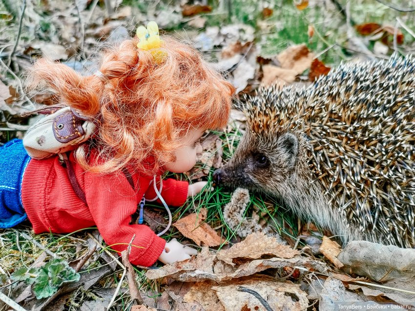 В поисках Муми-дома🏡🌳💫 — Куклы Miroxdolls (Оксана Миронова): российские БЖД