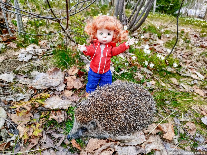 В поисках Муми-дома🏡🌳💫 — Куклы Miroxdolls (Оксана Миронова): российские БЖД