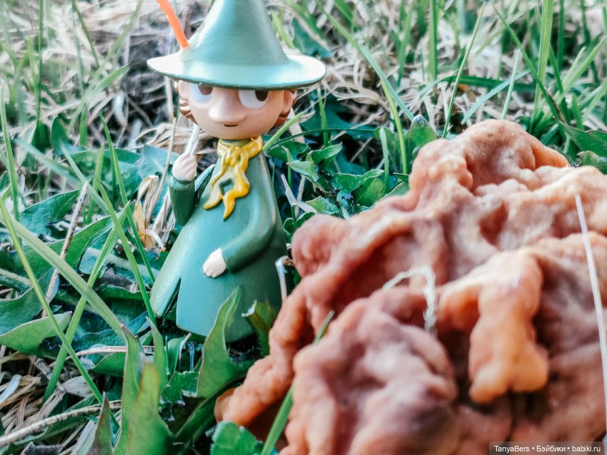 В поисках Муми-дома🏡🌳💫 — Куклы Miroxdolls (Оксана Миронова): российские БЖД (фото 9)