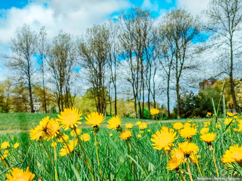 В поисках Муми-дома🏡🌳💫 — Куклы Miroxdolls (Оксана Миронова): российские БЖД