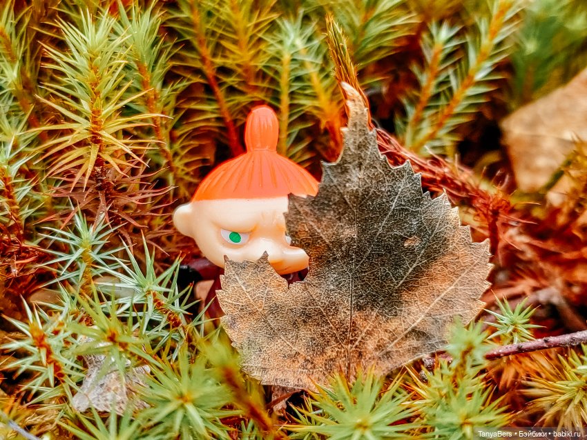 В поисках Муми-дома🏡🌳💫 — Куклы Miroxdolls (Оксана Миронова): российские БЖД (фото 7)