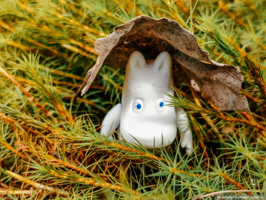 В поисках Муми-дома🏡🌳💫 — Куклы Miroxdolls (Оксана Миронова): российские БЖД