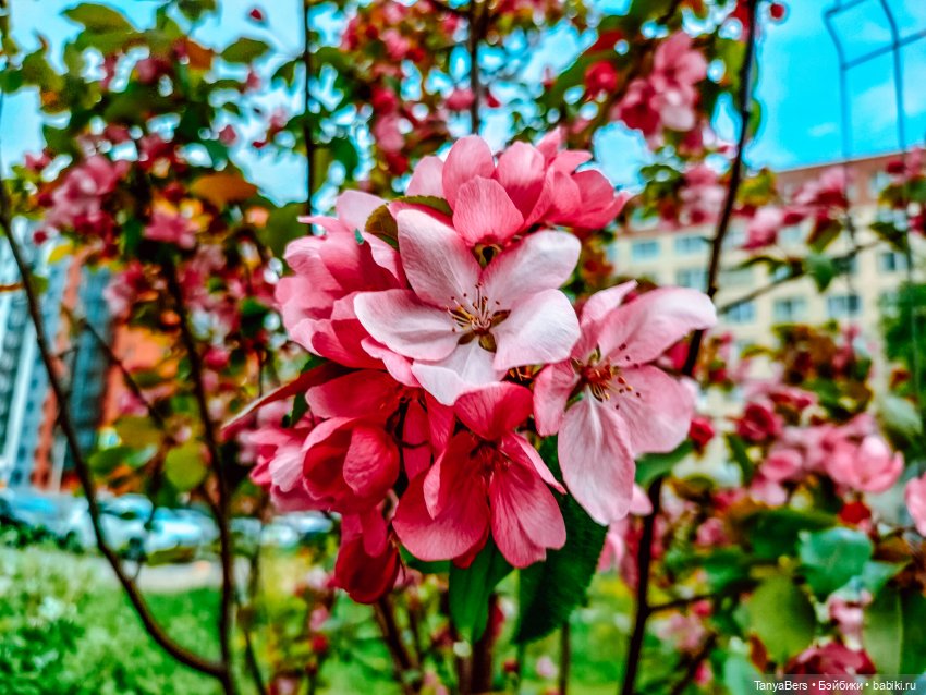 В поисках Муми-дома🏡🌳💫 — Куклы Miroxdolls (Оксана Миронова): российские БЖД (фото 5)