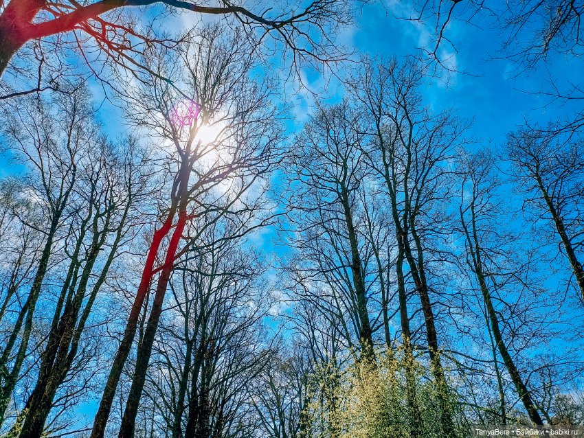 В поисках Муми-дома🏡🌳💫 — Куклы Miroxdolls (Оксана Миронова): российские БЖД