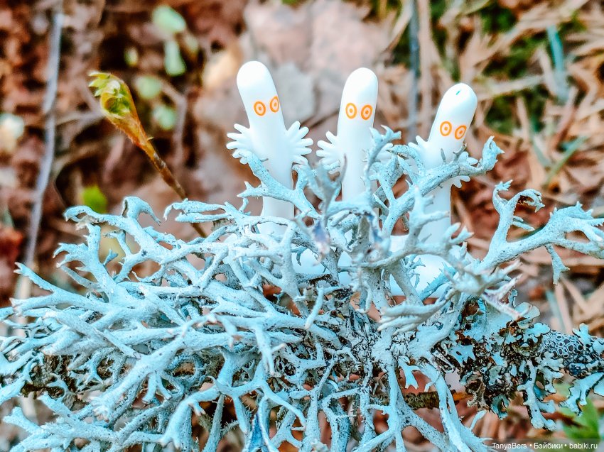 В поисках Муми-дома🏡🌳💫 — Куклы Miroxdolls (Оксана Миронова): российские БЖД